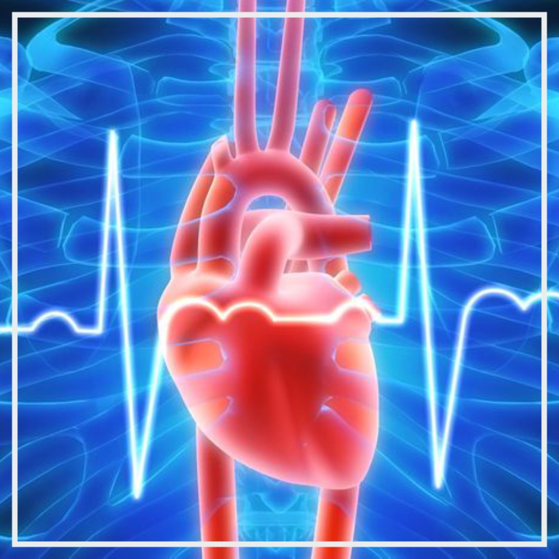 Реферат: Первая медицинская помощь при острой сердечной недостаточности