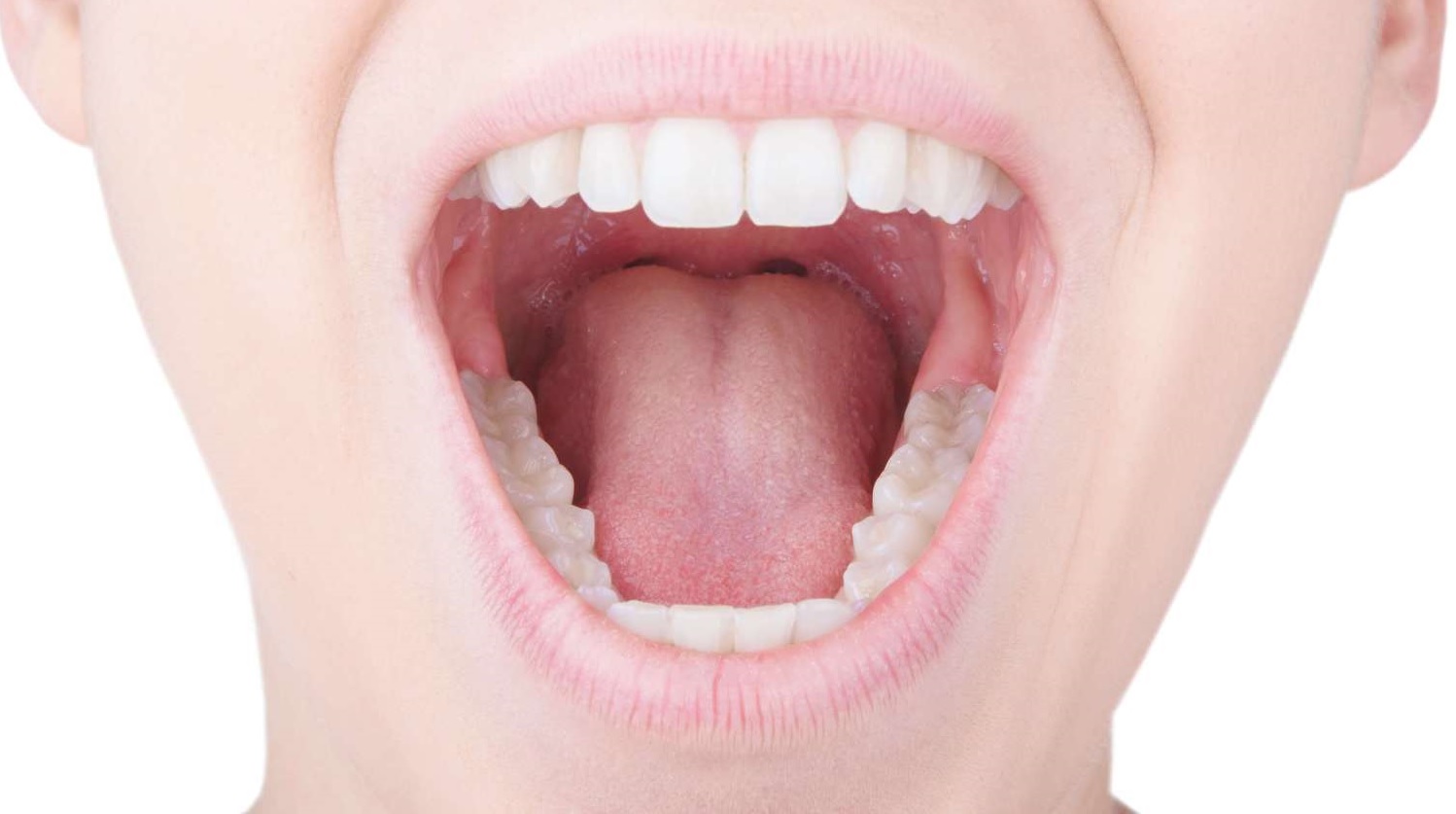 Здоровые зубы открытый рот